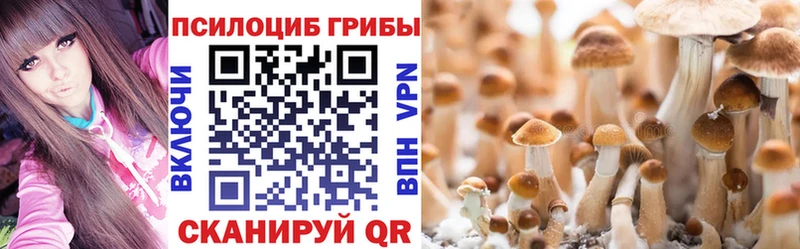 Псилоцибиновые грибы Cubensis  kraken ТОР  Сокол 